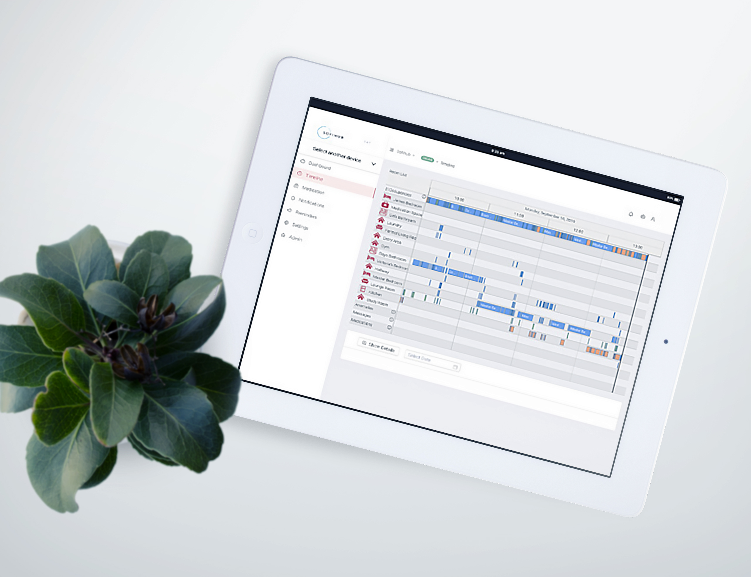 Personal alarms system